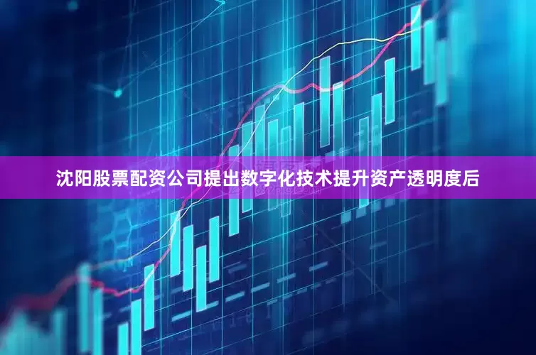 沈阳股票配资公司提出数字化技术提升资产透明度后