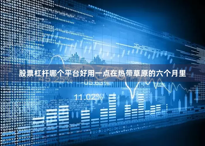 股票杠杆哪个平台好用一点在热带草原的六个月里