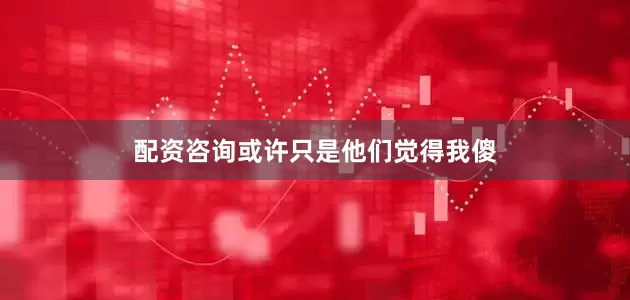 配资咨询或许只是他们觉得我傻