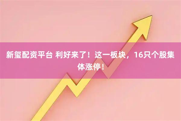 新玺配资平台 利好来了！这一板块，16只个股集体涨停！
