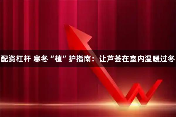 配资杠杆 寒冬“植”护指南：让芦荟在室内温暖过冬