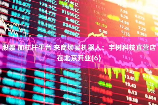 股票 加杠杆平台 来商场买机器人：宇树科技直营店在北京开业(6)
